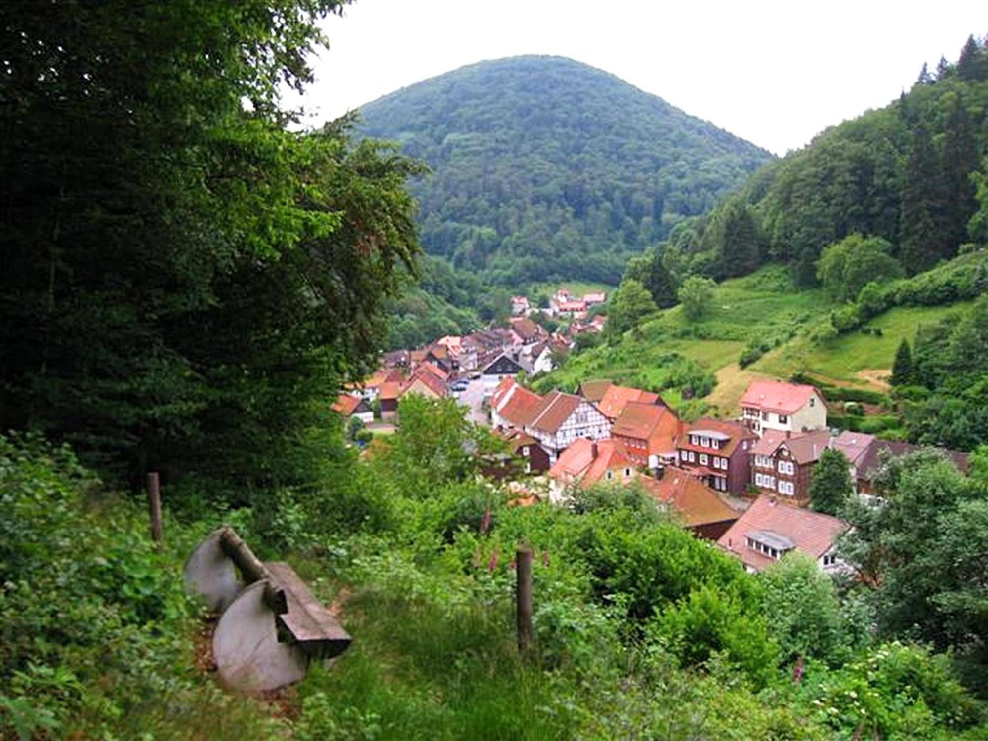 Spacious Group House In The Harz Region 조르게 외부 사진