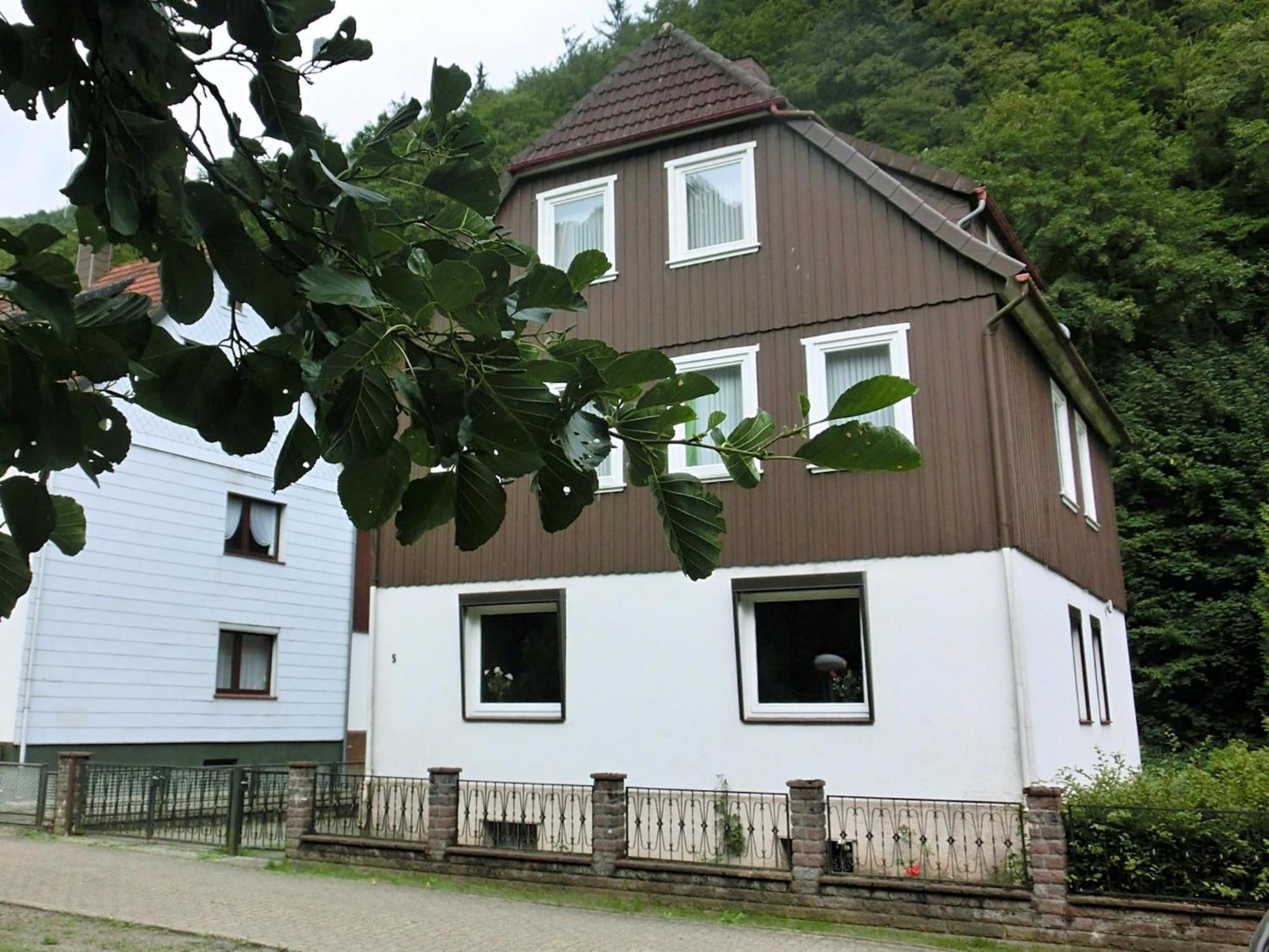 Spacious Group House In The Harz Region 조르게 외부 사진
