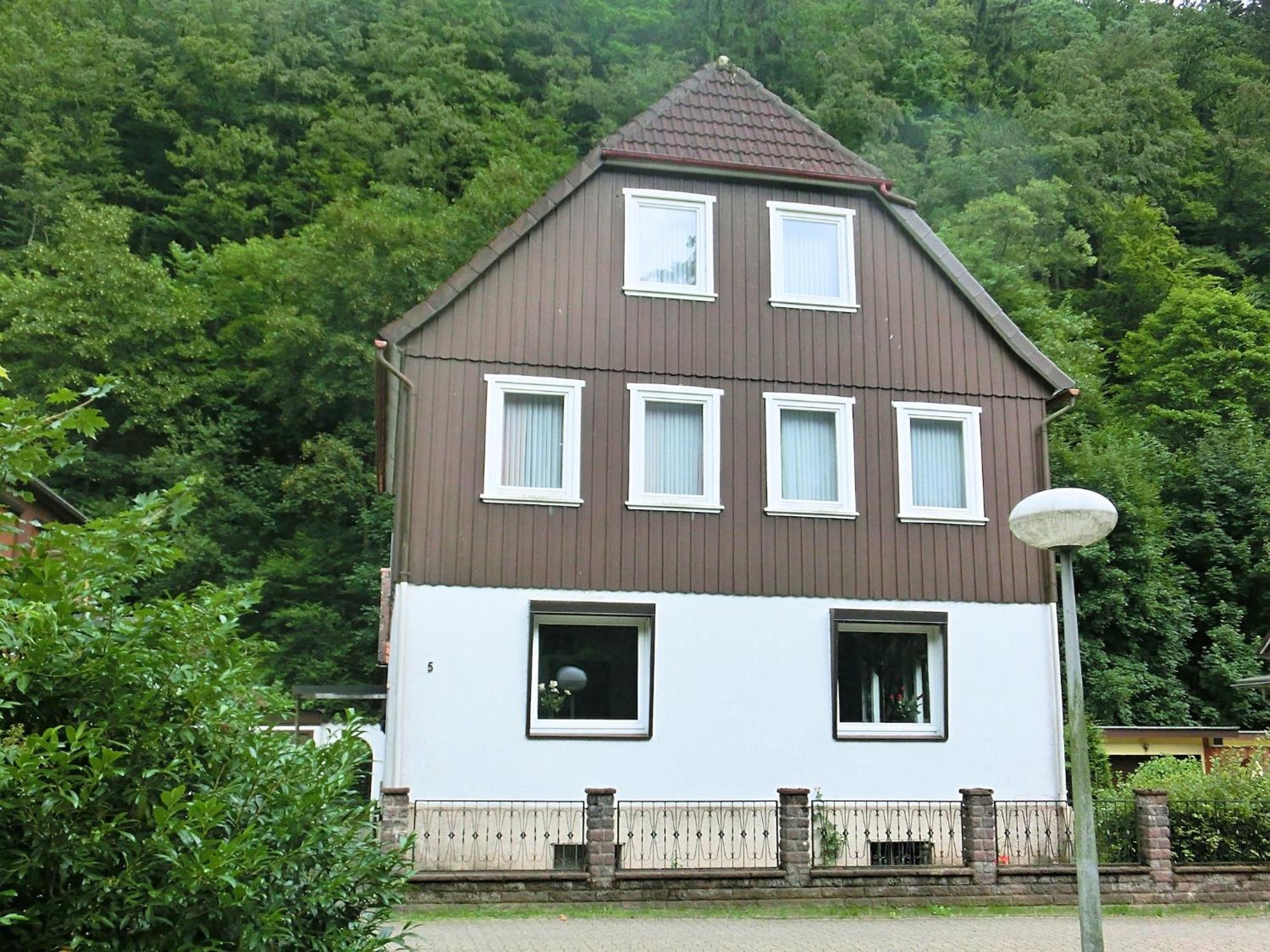 Spacious Group House In The Harz Region 조르게 외부 사진