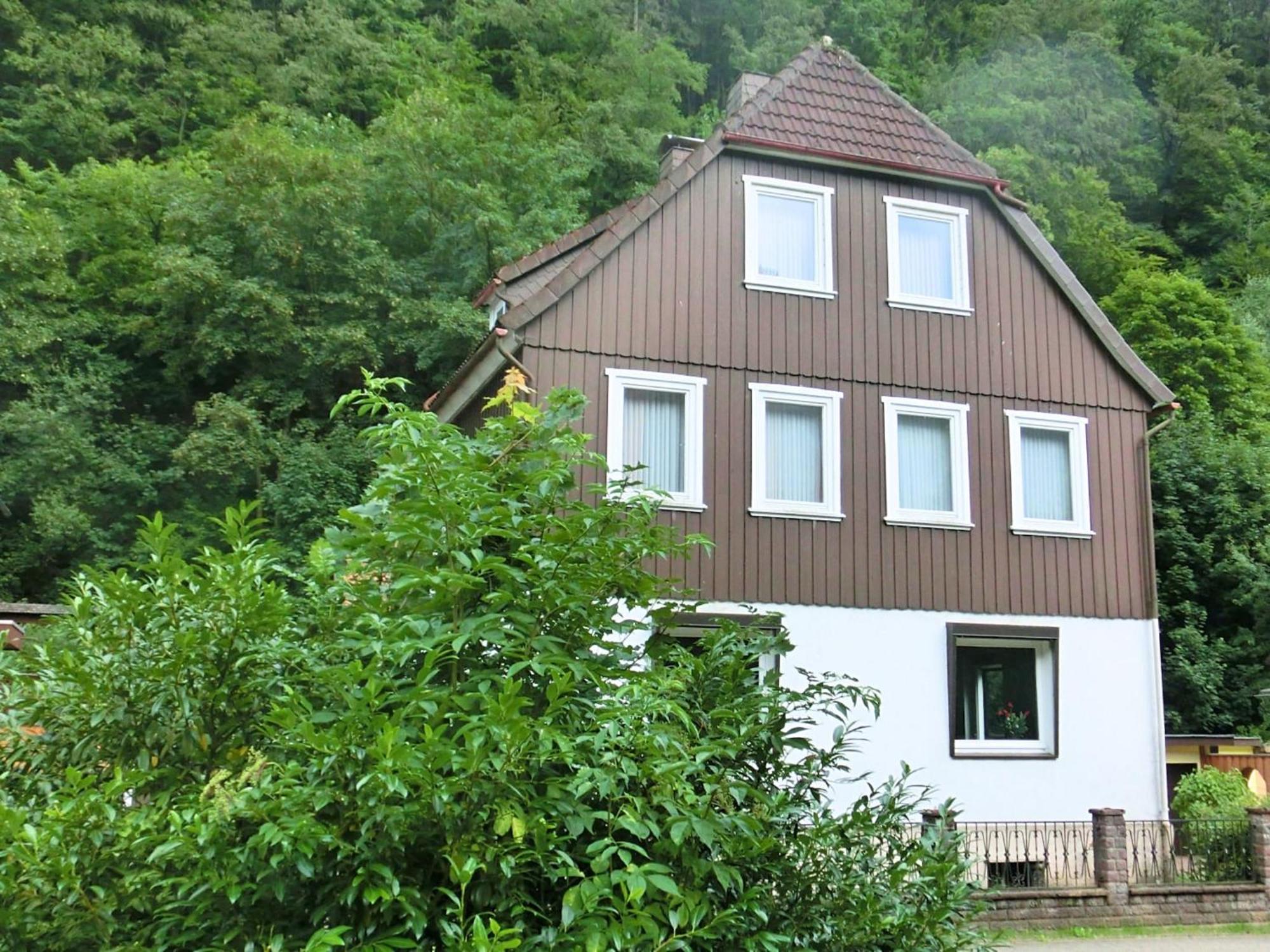 Spacious Group House In The Harz Region 조르게 외부 사진