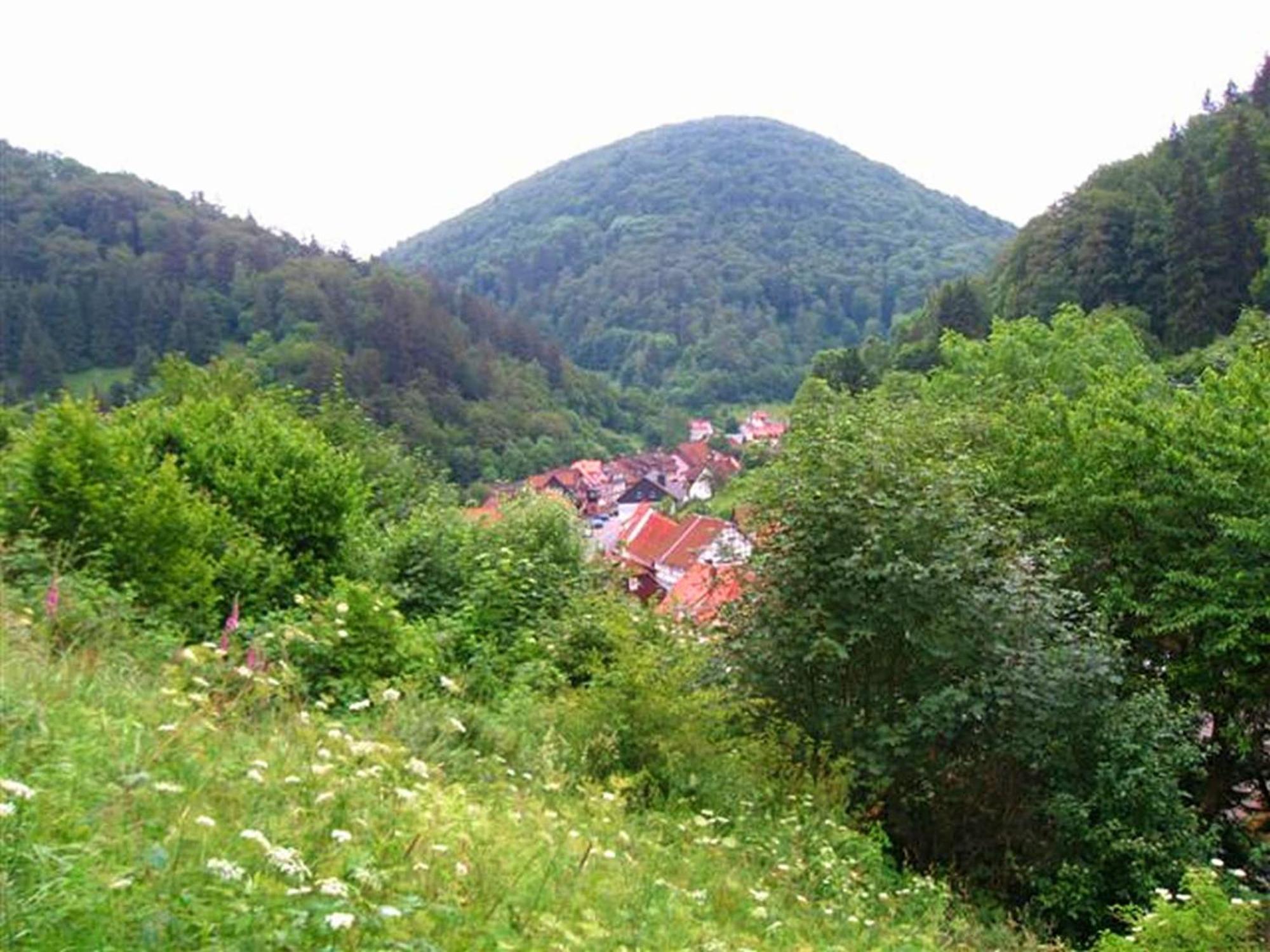 Spacious Group House In The Harz Region 조르게 외부 사진